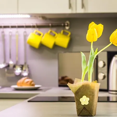 Klauzal Design Apartment Budapest
